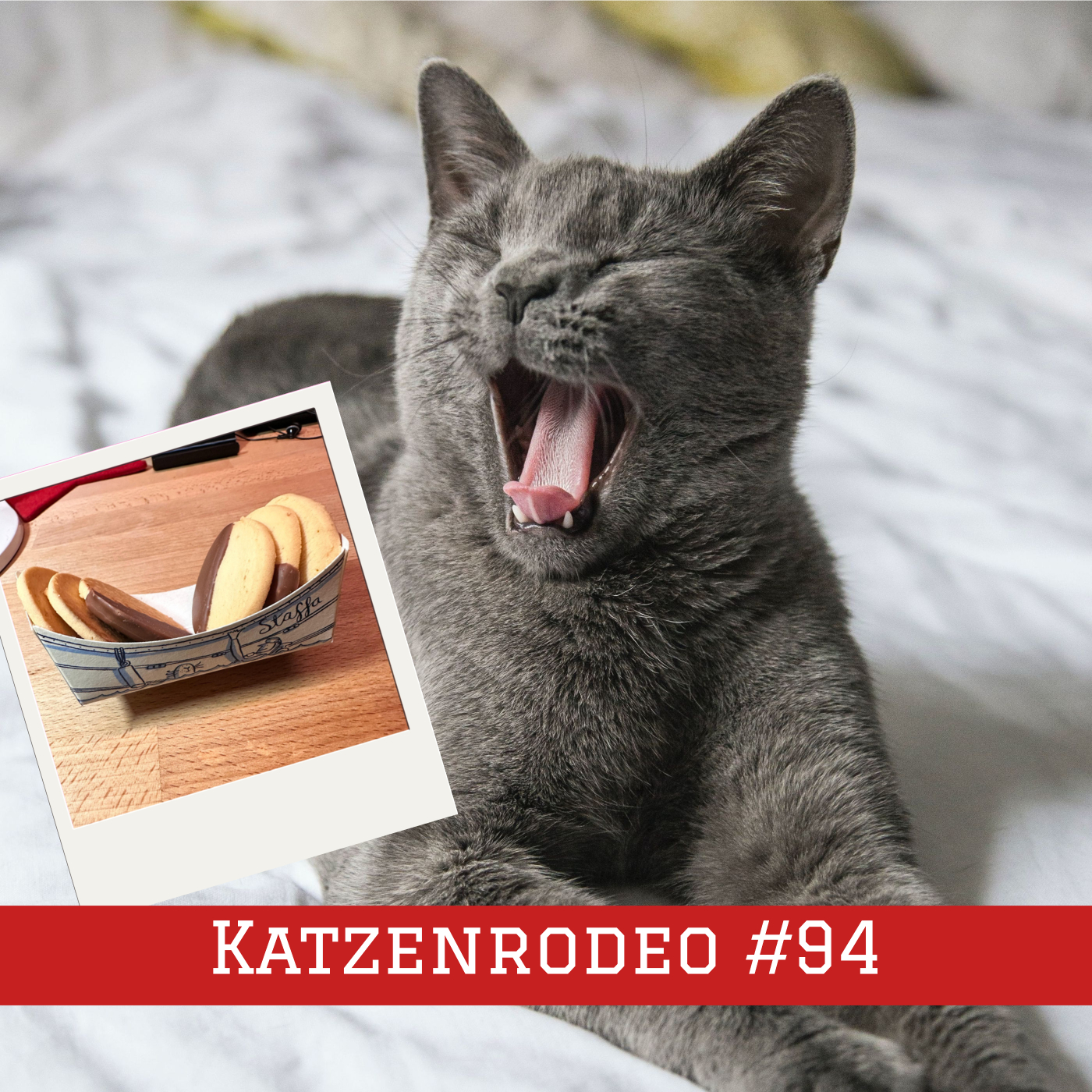 Episode #94 – Katzenrodeo episode artwork